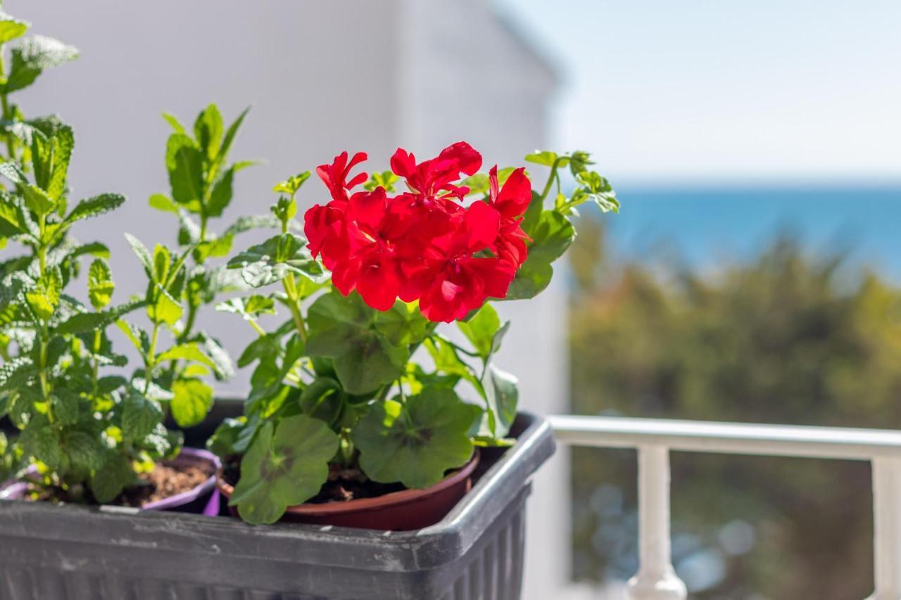 Apartamento Luz De Altea Exterior foto